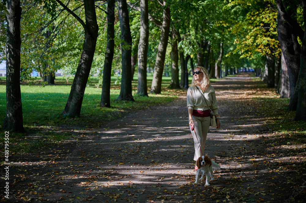 young blonde woman in light casual clothes walks with a Cavalier King Charles Spaniel dog in the historical center of the small town of Kronstadt on a sunny fine day along the cobblestones young blonde woman in light casual clothes walks with a Cavalier King Charles Spaniel dog in the historical center of the small town of Kronstadt on a sunny fine day along the cobblestones