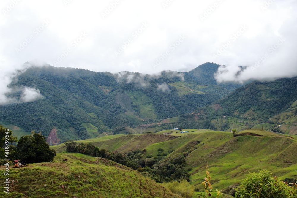 Obraz premium mountains, forests and clouds