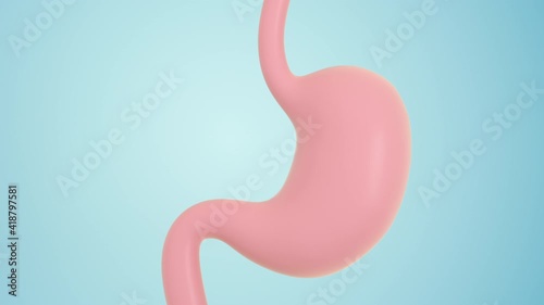 Human Internal Stomach Anatomy, 3d rendering.