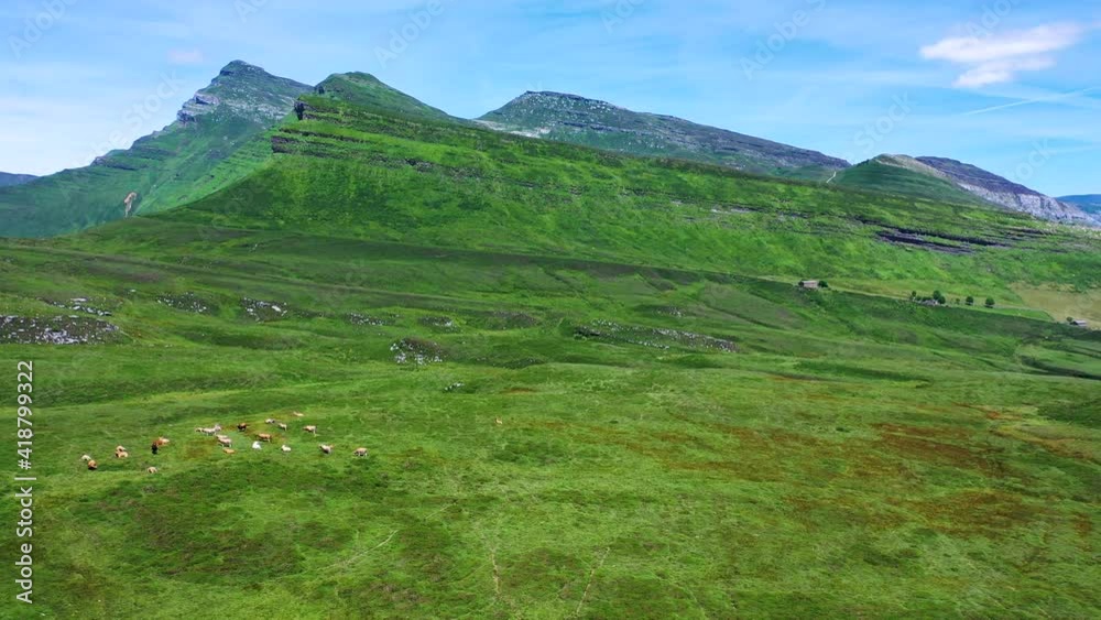 Spring landscape from a drone in the Port of Las Estacas de Trueba. Pasiegos Valleys. Merindades region. Burgos province. Community of Castilla y León. Spain, Europe Spring landscape from a drone in the Port of Las Estacas de Trueba. Pasiegos Valleys. Merindades region. Burgos province. Community of Castilla y León. Spain, Europe