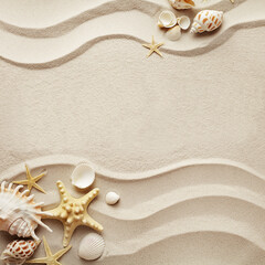 summer concept: sandy beach background with seashells. copy space for text