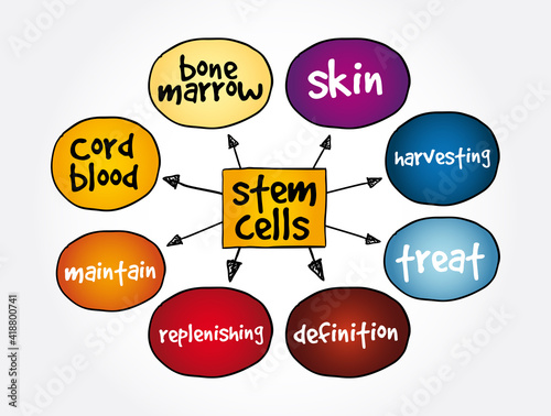 Stem Cells mind map, medical concept for presentations and reports