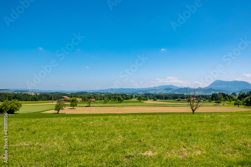Meadow landscape with mountains and blue sky