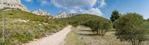 un long chemin de randonnée  bordé d'olivier qui mène vers les montagnes des Alpilles  © Olivier Tabary