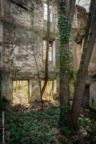 deux troncs d'arbre à l'intérieur d'une ruine   © Olivier Tabary