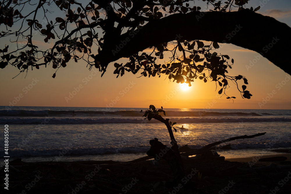 Tropical tree on a beautiful exotic beach at sunset during the evening, Osa Peninsula, Costa Rica.