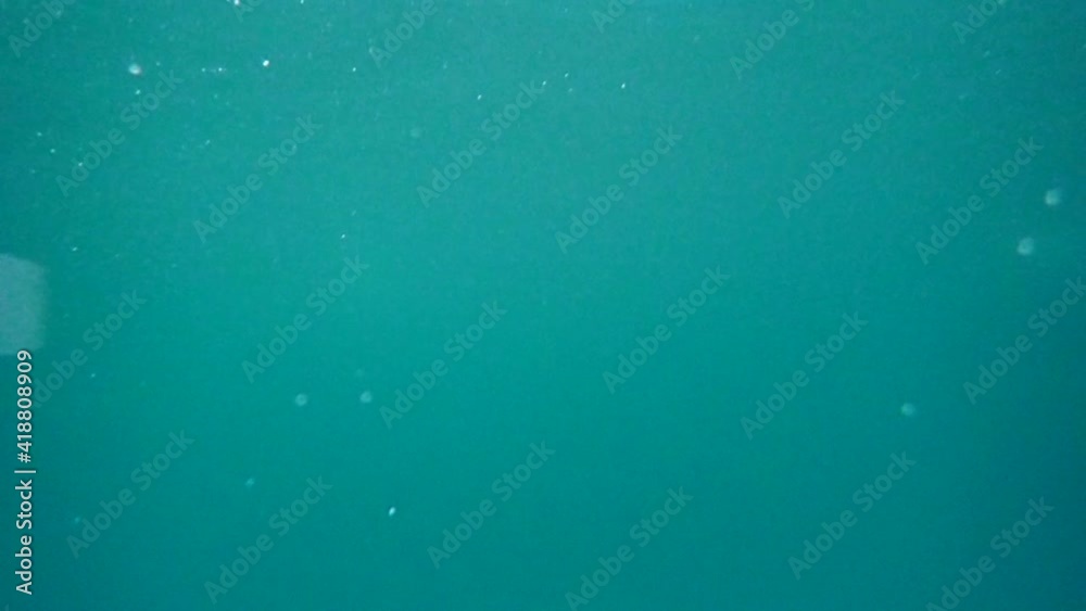 underwater underwater