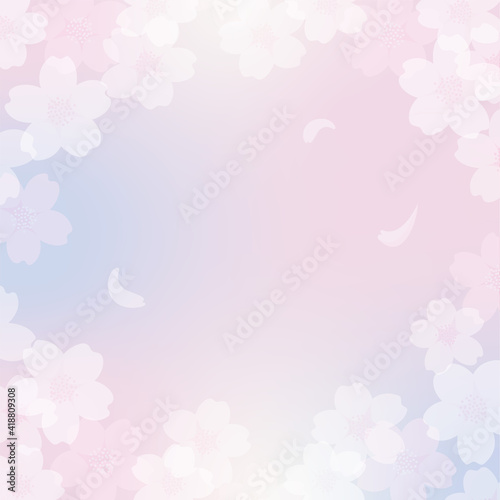 background with cherry blossoms and color gradation