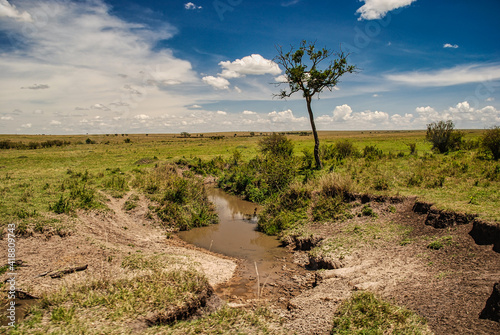 Savannah in Masai Mara National Reserve, Kenya