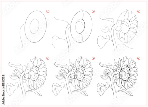 Page shows how to learn to draw sketch of sunflower. Creation step by step pencil drawing. Educational page for artists. Textbook for developing artistic skills. Online education.