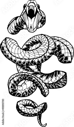 
Snake in pieces emerging from a surface hand draw