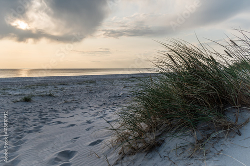 Sand dunes of Blavand beach in Denmark with dry grass