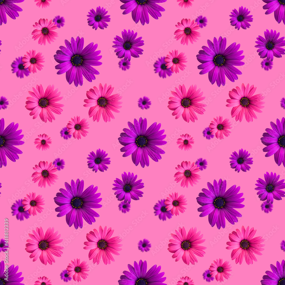 Beautiful violet and pink flower heads seamless pattern on the pink background. Top view of flowers Beautiful violet and pink flower heads seamless pattern on the pink background. Top view of flowers