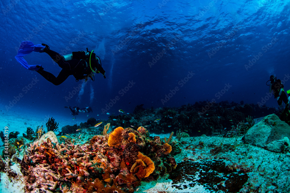 Fototapeta premium A diver swimming over the reef 
