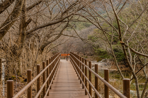 Boardwalk under leafless trees next to mountain river.