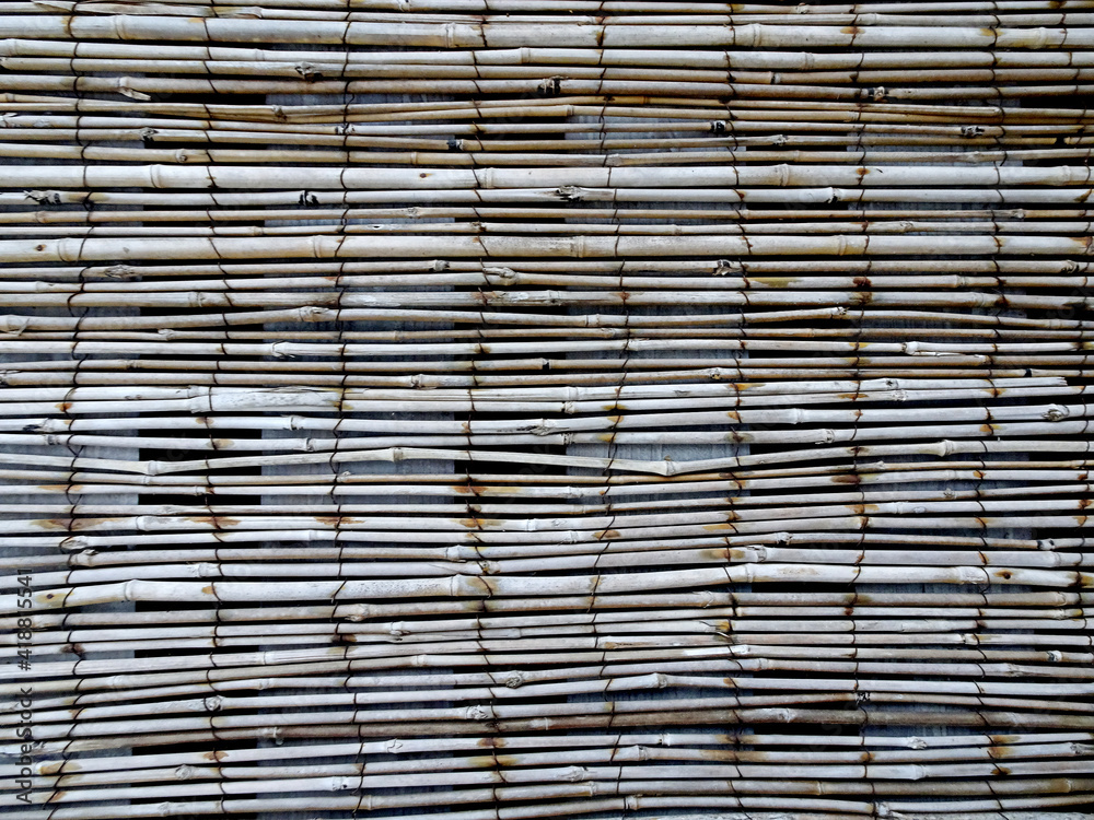natural background, fence of bamboo trunks, selective focus natural background, fence of bamboo trunks, selective focus