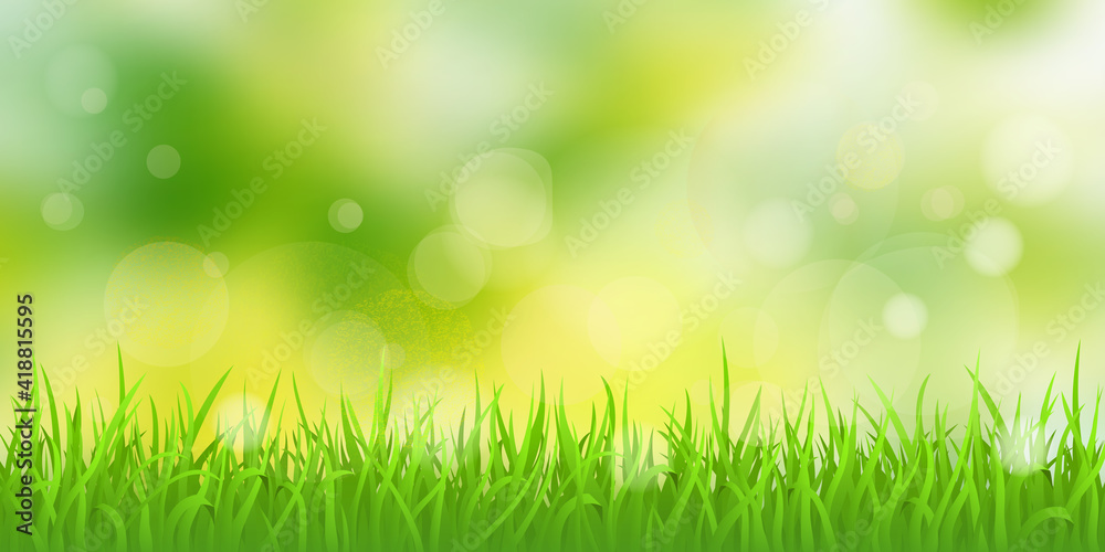 Vector spring illustration, grass and blurry background. Bokeh effect, sunny morning.