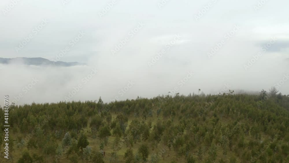 Mountain landscape from drone. Fog mist over forest, snowy mountain peaks in background. Mountain with trees and fog in Andes. Mountain landscape from drone. Fog mist over forest, snowy mountain peaks in background. Mountain with trees and fog in Andes.