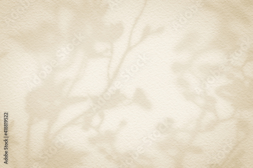 Flower shadows on light brown and cream color wall.