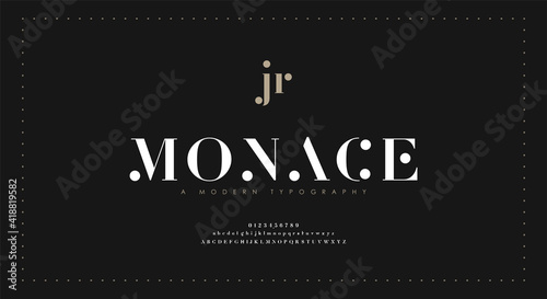 Elegant alphabet letters font and number. Classic Lettering Minimal Fashion Designs. Typography modern serif fonts regular decorative vintage concept. vector illustration