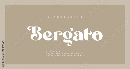 Elegant luxury alphabet letters font. Classic Lettering Minimal Modern Fashion Designs. Typography modern serif fonts regular decorative vintage concept. vector illustration photo