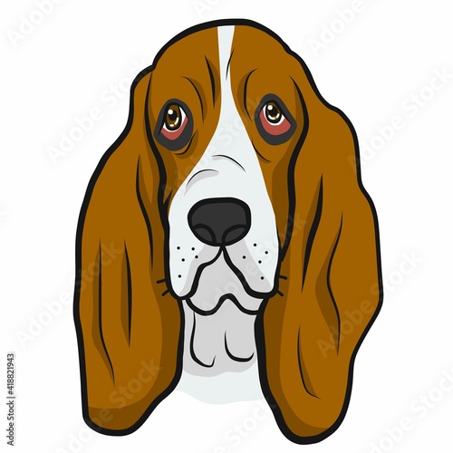Basset Hound dog face cartoon vector illustration	
