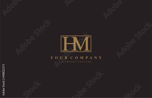 Abstract Beauty Letter HM Logo Design