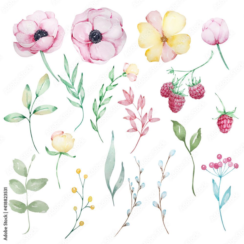 Set of watercolor flowers pink anemones, yellow flowers, leaves, branches