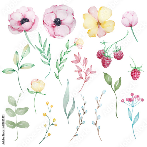 Set of watercolor flowers pink anemones, yellow flowers, leaves, branches