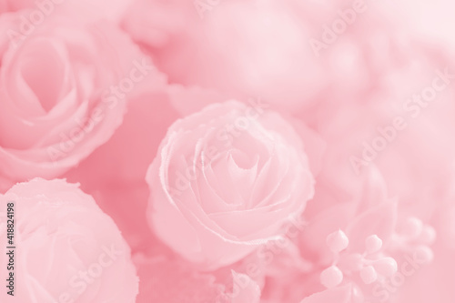 Abstract beautiful pink tone rose flower background for design.