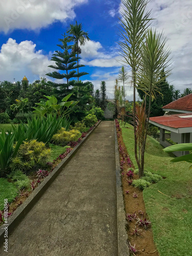 side walk with house, tree, palm and cloudy blue sky © Mohammed