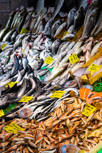 Fish showcase with diversity of fresh marine products on seafood market