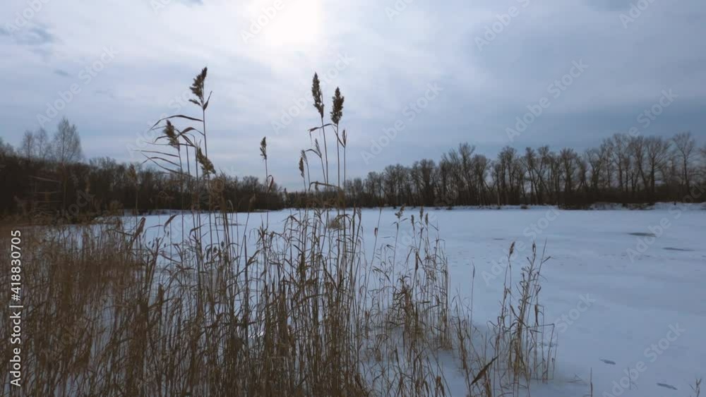 The situation when a person finds himself in a winter forest without means of communication, can happen to any of the lovers of winter hikes in the forest. The situation when a person finds himself in a winter forest without means of communication, can happen to any of the lovers of winter hikes in the forest.
