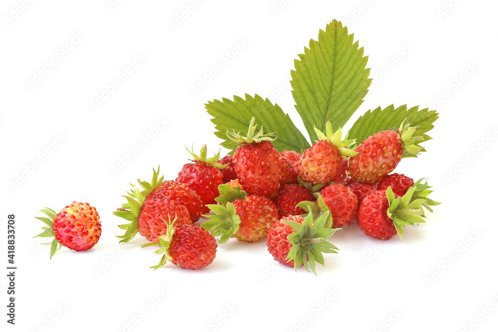 Tasty wild strawberry isolated on a white Tasty wild strawberry isolated on a white