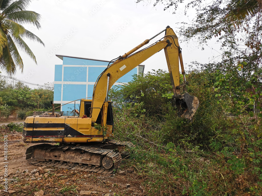 Excavator falling trees clearing the area Excavator falling trees clearing the area