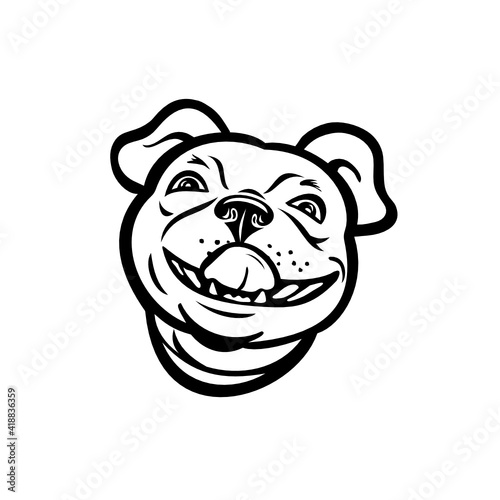 Mascot illustration of head of a Boston terrier breed of dog smiling and licking his nose viewed from front on isolated background in retro black and white style. photo