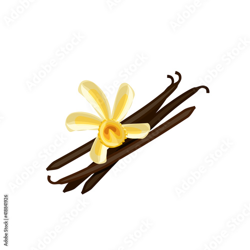 Vanilla flower and dried pods. Vector illustration cartoon flat icon isolated on white background.