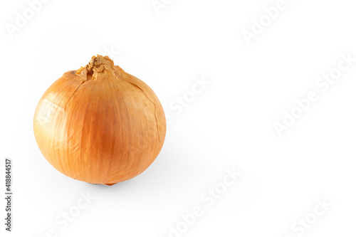 An onion on white background
