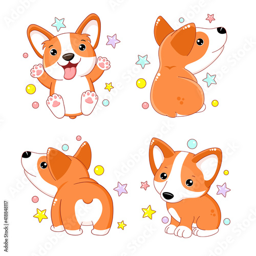 Set of kawaii welsh corgi puppy