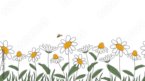 Seamless border of daisies hand drawn in simplified children cartoon naive style on white background.Cute bee sitting on flower.For design of website or shop for spring or summer.Raster illustration