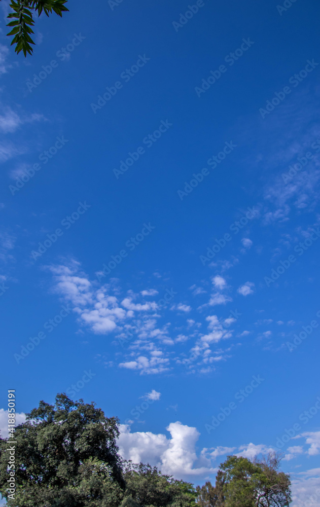 White clouds, blue sky and green trees image in horizontal format with copy space for background use