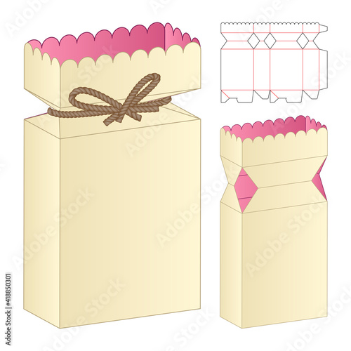 Box packaging die cut template design. 3d mock-up