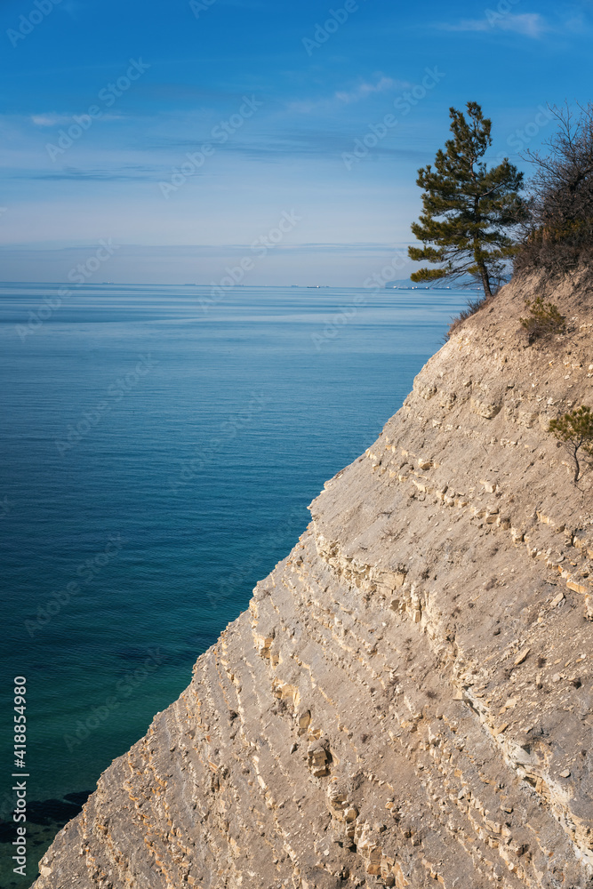 Beautiful landscape sea view, vertical shot. Pine on a rock on Black Sea coast Beautiful landscape sea view, vertical shot. Pine on a rock on Black Sea coast