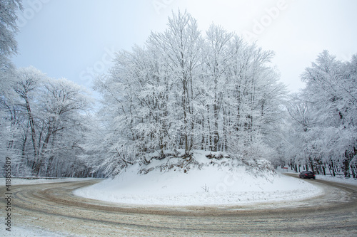 Road in Sabaduri forest with covered snow. Winter time photo