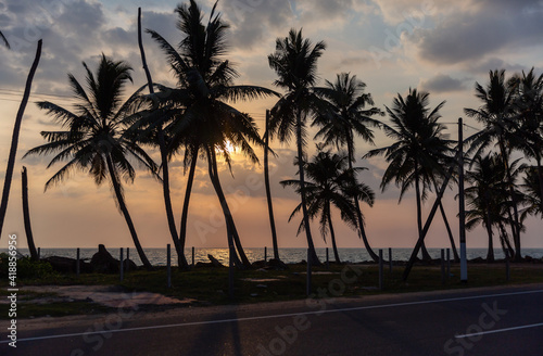 Palm tree silhouettes against cloudy sky at sunset