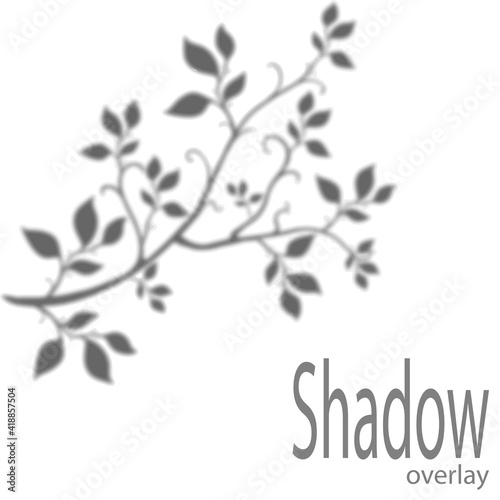 Gray shadow from a tree branch with leaves on a white background. Vector illustration.