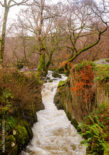 Forest river in the Lake District. Winter photo with Autumn leafs photo