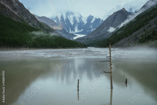 Φωτογραφία Atmospheric alpine landscape with dry tree in green water of mountain lake from snowy mountains in overcast weather
