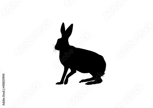 Silhouette Lepre
