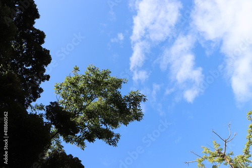 大濠公園の青空と木々